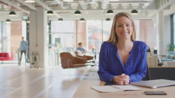 Portrait Businesswoman Working Desk Modern Open Plan Office Colleagues Background — Stockvideo