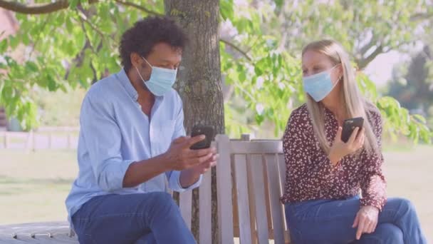 Socialt Distanserade Par Masker Träffas Parken Hälsa Pandemic Tittar Mobiltelefoner — Stockvideo