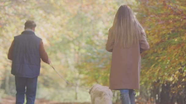 Couple Take Pet Golden Retriever Dog Walk Track Autumn Countryside — Stock Video