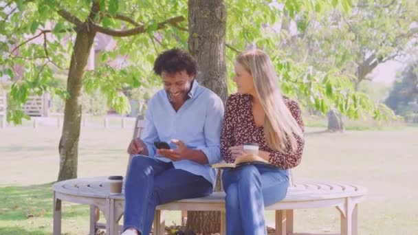 成熟したカップル読書本の下で公園のベンチに座ってリラックスし 携帯電話をチェック — ストック動画