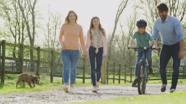 Family Summer Walk Pet Bulldog Countryside Father Teaching Son Ride — Stock Video