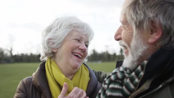 Rire Couple Personnes Âgées Profitant Automne Hiver Promenade Dans Parc — Video