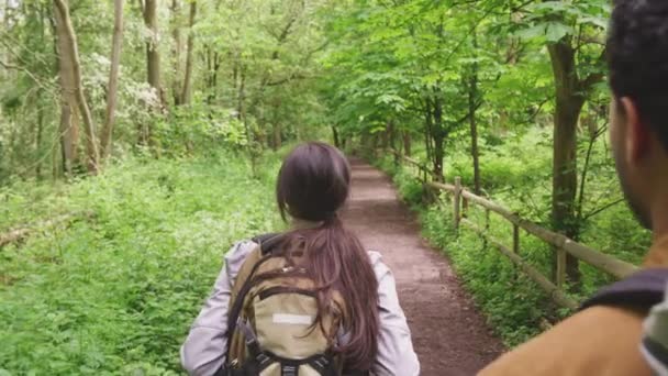 Kırsal Kesimdeki Ağaçların Arasında Yürüyüş Yapan Genç Bir Çiftin Omuz — Stok video