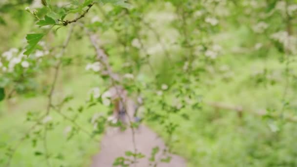Молода Пара Ходить Стежці Деревах Сільській Місцевості Домашнім Улюбленцем Золотим — стокове відео