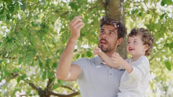 Papà Diverte Con Giovane Figlio Nel Parco Sollevandolo Tra Rami — Video Stock