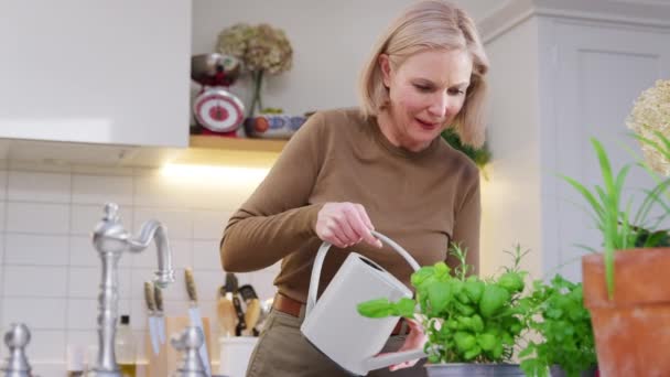 Mulher Madura Regando Cuidando Plantas Sala Cozinha Casa Filmado Câmera — Vídeo de Stock