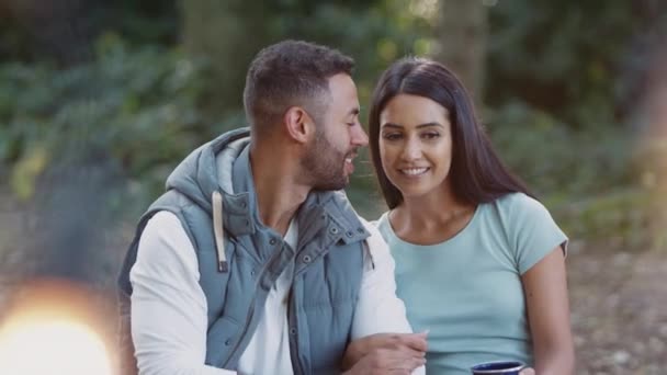 Couple Romantique Campant Dans Campagne Assis Par Feu Joie Dans — Video