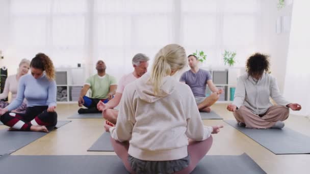 Blick Von Hinten Auf Die Gruppe Mit Lehrerin Die Yoga — Stockvideo