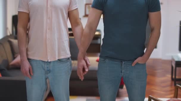 Portrait Relaxed Same Sex Male Couple Relaxing Hold Hands Home — Stock Video