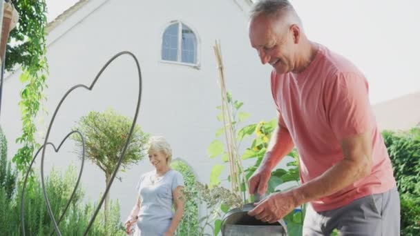 在花园里做家务 浇水和整理植物的退休老两口笑着 动作缓慢 — 图库视频影像