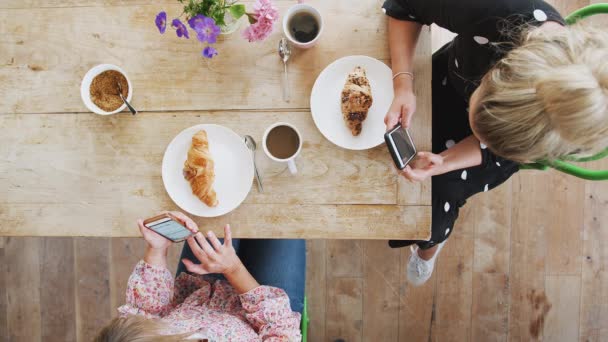 Overhead Visning Kvindelige Venner Kaffebar Møde Kontrollere Beskeder Mobiltelefon Skudt – Stock-video