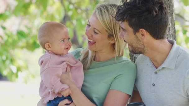 Família Amorosa Com Filha Bebê Sentada Assento Debaixo Árvore Parque — Vídeo de Stock