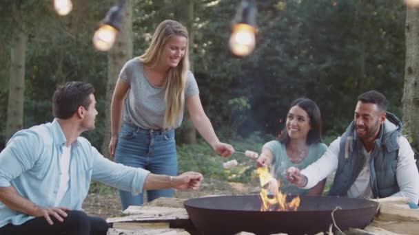一群朋友一起在森林露营 坐在篝火烤棉花糖旁边 慢镜头拍摄 — 图库视频影像
