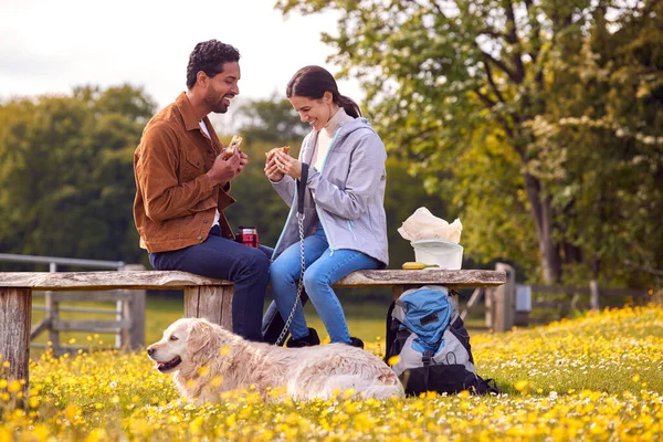 田舎を歩くペットゴールデンレトリバー犬とカップルベンチに座って一緒にピクニックを楽しむ — ストック写真