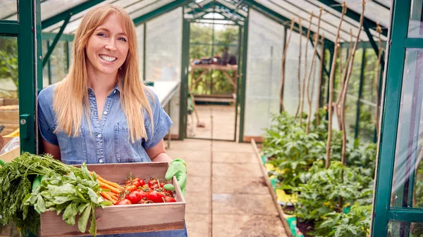 Portret Van Vrouw Holding Box Van Home Grown Groenten Greenhouse — Stockfoto