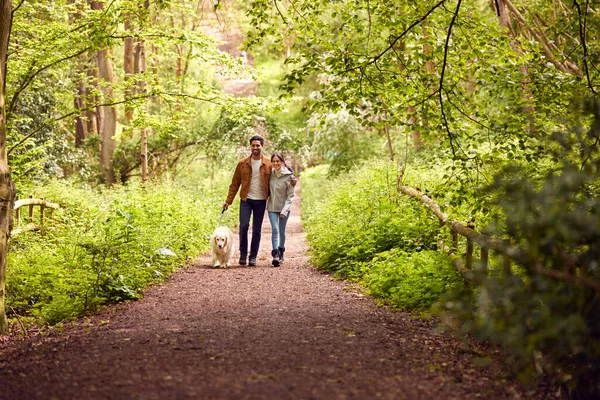 Paar Met Huisdier Golden Retriever Hond Wandelen Langs Het Pad — Stockfoto