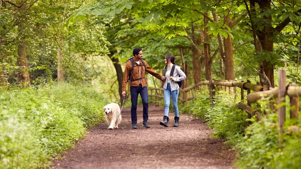 带着宠物狗沿着乡间树木的小径爬行的夫妇 — 图库照片