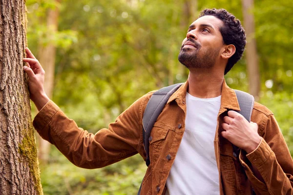 Man Wandelen Langs Het Pad Door Het Bos Het Platteland — Stockfoto