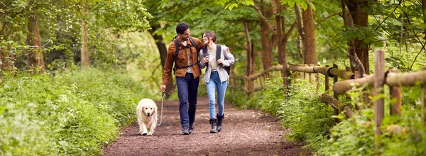 Casal Com Animal Estimação Golden Retriever Cão Caminhando Longo Caminho — Fotografia de Stock