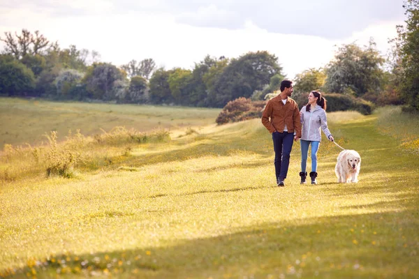 Paar Met Huisdier Golden Retriever Hond Wandelen Langs Het Pad — Stockfoto