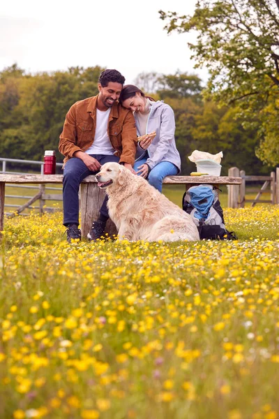 Paar Met Huisdier Golden Retriever Hond Voet Het Platteland Zitten — Stockfoto