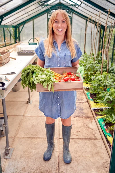 Full Length Portrait Woman Holding Box Home Grown Vegetables Greenhouse — Stock Photo, Image