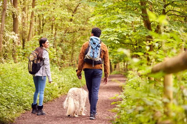 Vista Trasera Pareja Con Perro Mascota Senderismo Largo Del Camino —  Fotos de Stock