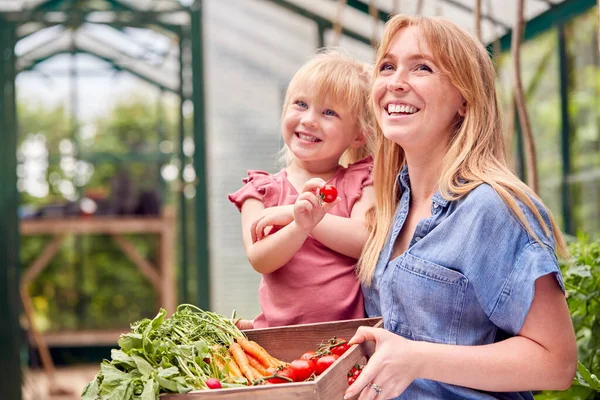 Madre Hija Sosteniendo Caja Verduras Cultivadas Casa Invernadero — Foto de Stock