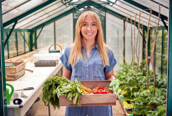 Retrato Mulher Que Prende Caixa Legumes Cultivados Casa Estufa — Fotografia de Stock