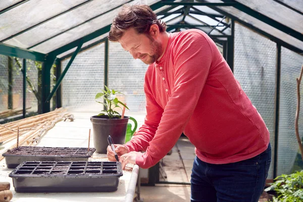 Man Writing Labels Put Seed Trays Growing Greenhouse Home — Stock Photo, Image