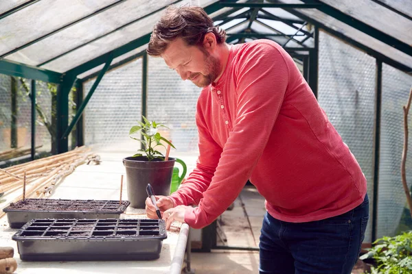 Man Die Etiketten Schrijft Zaadbakken Doen Die Thuis Kas Groeien — Stockfoto