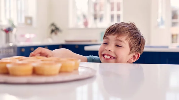 Ragazzo Che Prende Appena Sfornato Cupcake Fatto Casa Dal Piatto — Foto Stock