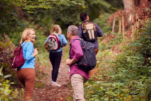 Achteraanzicht Van Volwassen Volwassen Echtparen Het Platteland Wandelen Langs Het — Stockfoto