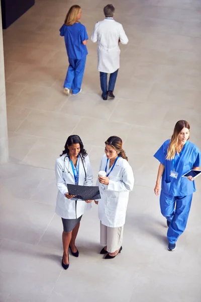 Tiro Aéreo Duas Equipes Médicas Femininas Casacos Brancos Discutindo Varredura — Fotografia de Stock