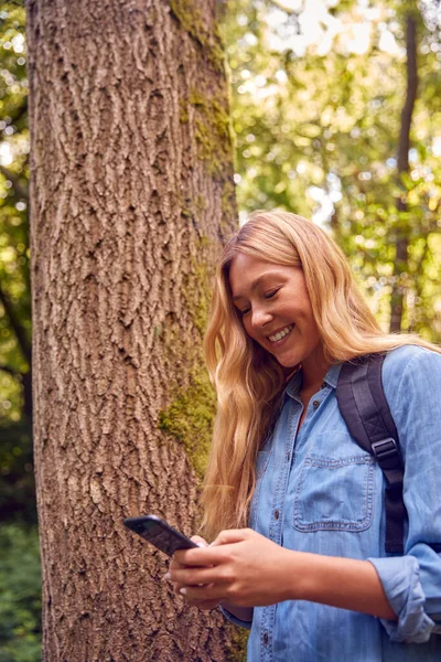 Ormanda Yürüyüş Yapan Kadın Gezmek Için Cep Telefonu Haritası Uygulaması — Stok fotoğraf