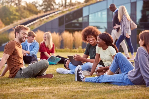 Група Студентів Університету Або Коледжу Сидять Траві Відкритому Повітрі Кампусі — стокове фото