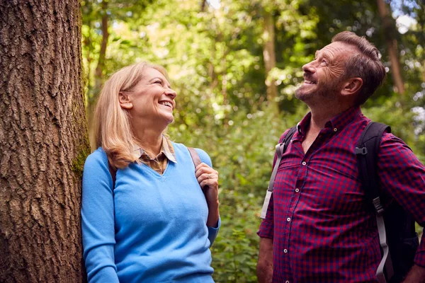 Couple Âge Mûr Dans Campagne Randonnée Long Chemin Travers Forêt — Photo