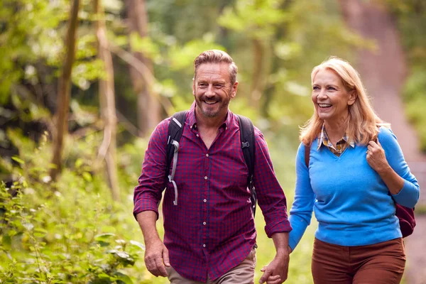 Älskade Par Landet Vandring Längs Stigen Genom Skogen Tillsammans Håller — Stockfoto