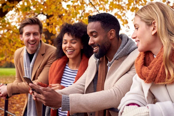 Grupo Amigos Aire Libre Con Abrigos Bufandas Mirando Fotos Teléfono —  Fotos de Stock