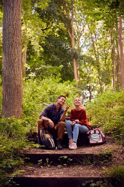 Pareja Campo Senderismo Largo Del Camino Través Del Bosque Sentarse —  Fotos de Stock