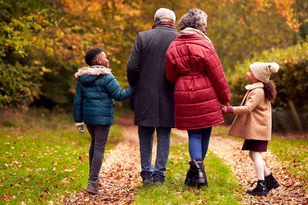 Bakifrån Morföräldrar Som Håller Händer Med Barnbarn Promenad Genom Hösten — Stockfoto