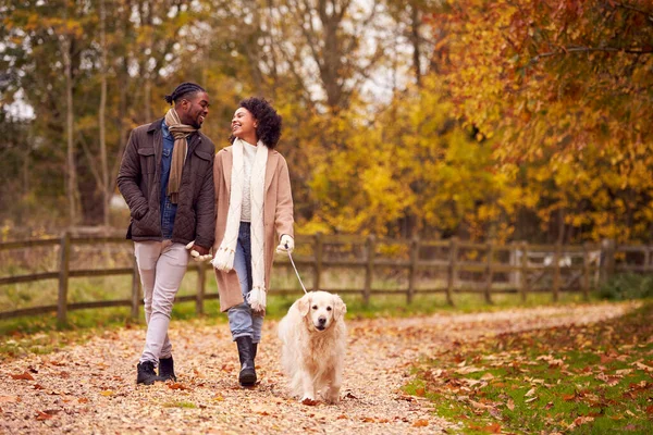 Couple Walking Pet Golden Retriever Dog Autumn Countryside — Stok fotoğraf