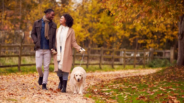 Couple Walking Pet Golden Retriever Dog Autumn Countryside — Stockfoto