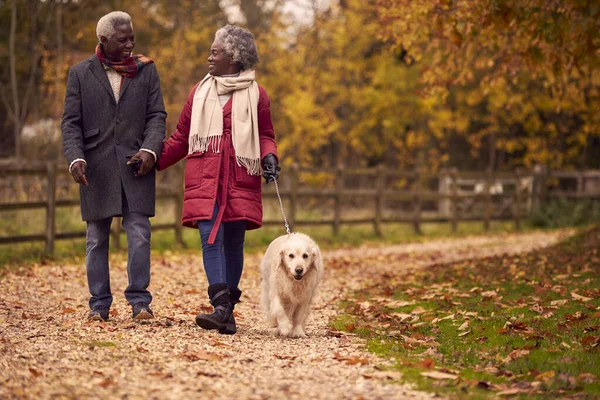 Senior Couple Walking Pet Golden Retriever Dog Autumn Countryside — ストック写真