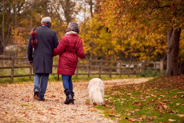 Senior Couple Walking Pet Golden Retriever Dog Autumn Countryside — Foto Stock