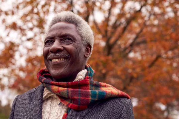 Голова Плечи Портрет Пожилого Человека Прогулке Осенней Стране Против Золотых — стоковое фото