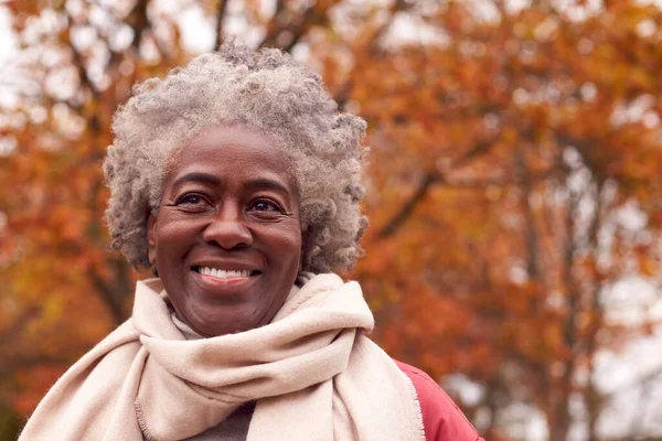 Head Shoulders Portrait Senior Woman Walk Autumn Countryside Golden Leaves — Stock Fotó