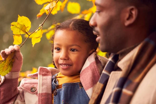 Liebender Vater Trägt Tochter Auf Familienspaziergang Durch Herbstlandschaft — Stockfoto