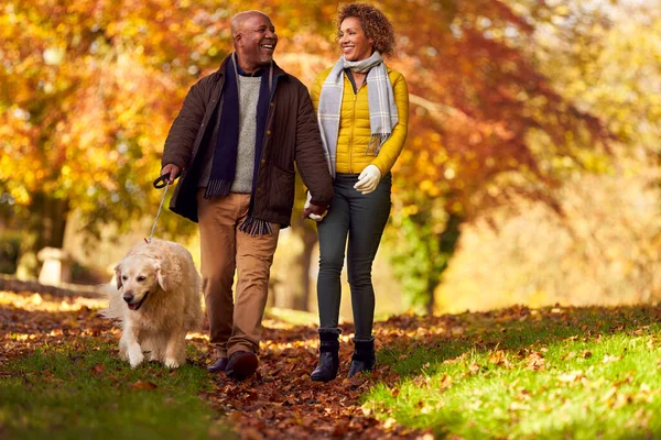 Senior Couple Walking Pet Golden Retriever Dog Autumn Countryside — Stockfoto