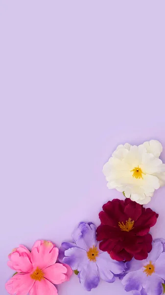 Easter Still Life Arrangement Spring Flowers Purple Background — ストック写真